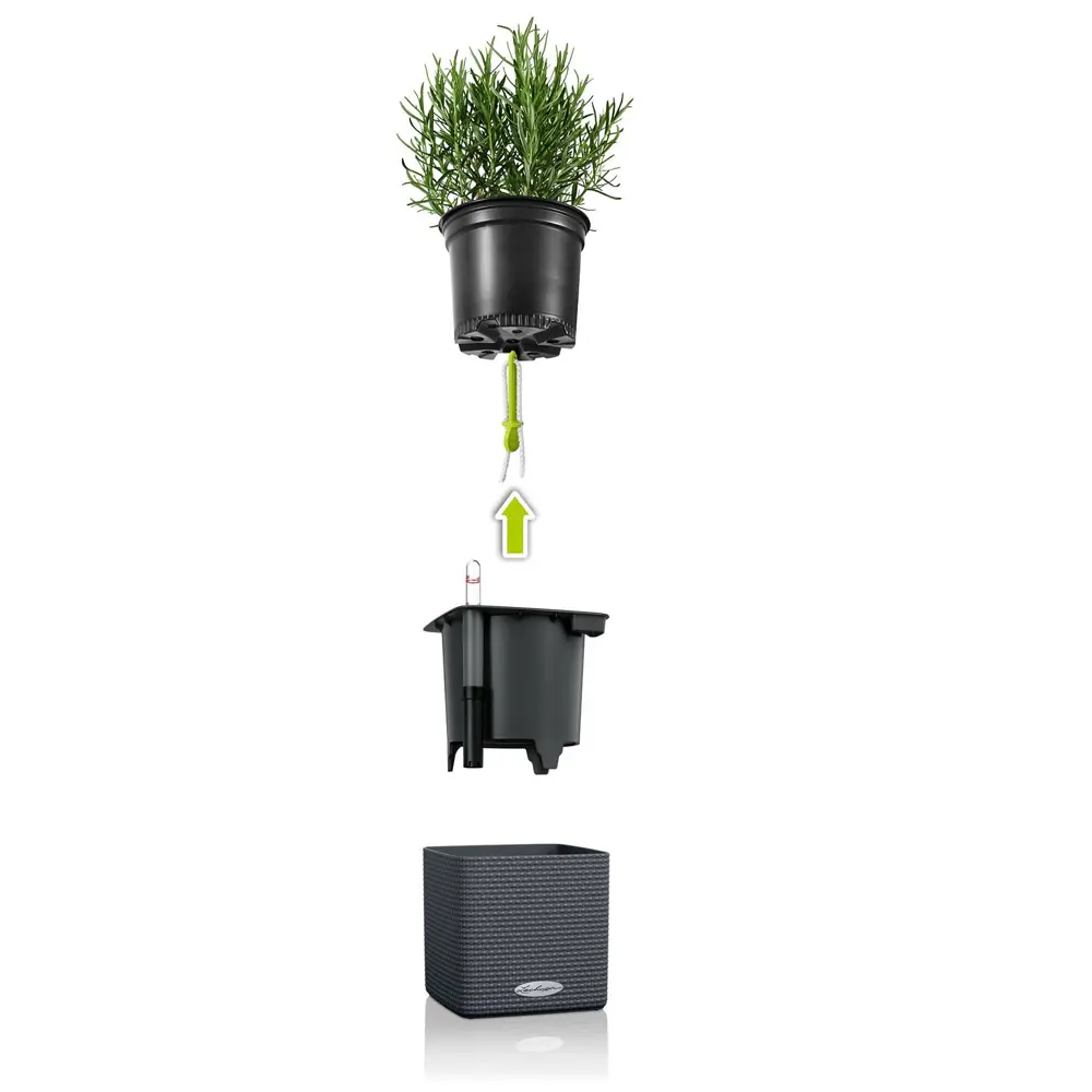 Фото 4 Комплект кашпо с автополивом Lechuza Green WALL Home Kit Color 13398 Фото 4 Комплект кашпо с автополивом Lechuza Green WALL Home Kit Color 13398
