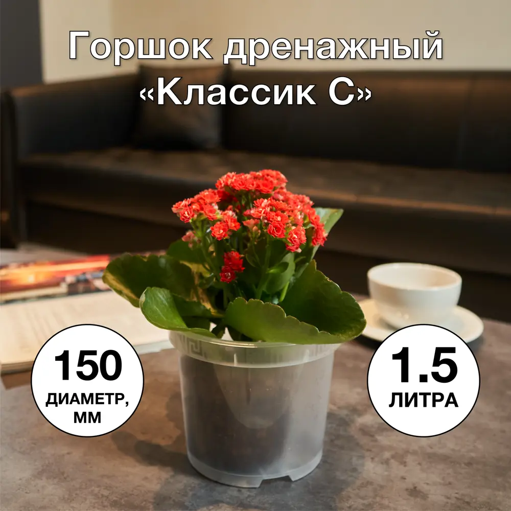 Фото 3 Горшок цветочный Классик С ø15 h11.2 см v1.5 л пластик прозрачный Фото 3 Горшок цветочный Классик С ø15 h11.2 см v1.5 л пластик прозрачный