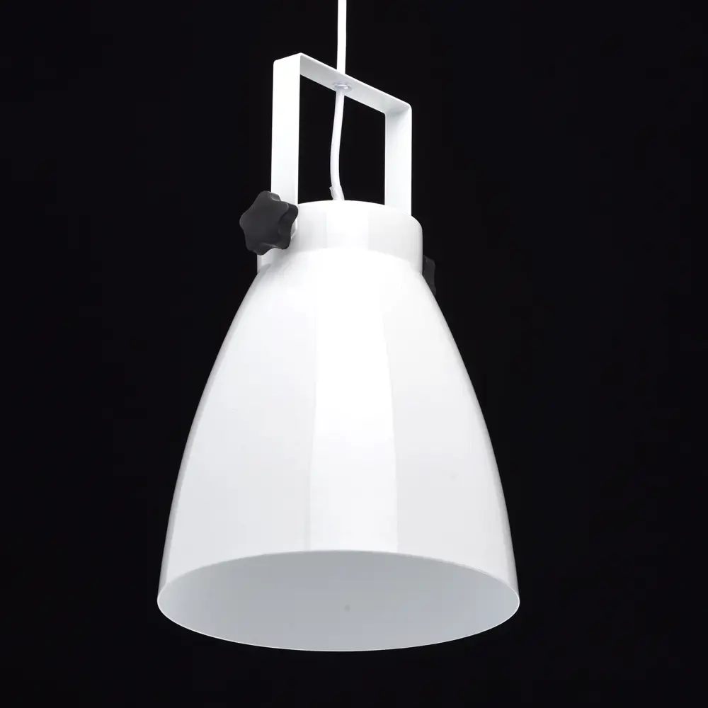 Фото 3 Люстра потолочная MW 497011601 1 лампа 2 м² цвет белый Фото 3 Люстра потолочная MW 497011601 1 лампа 2 м² цвет белый