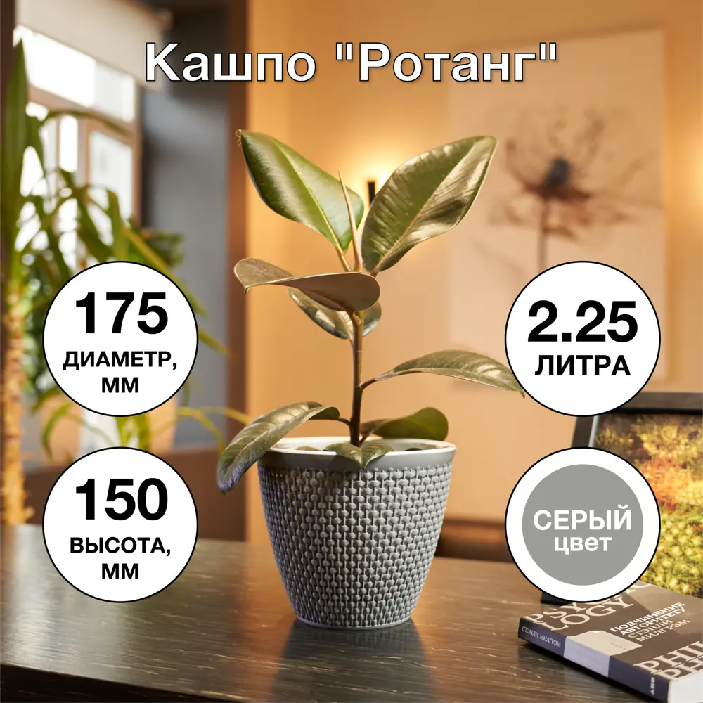 Фото 4 Кашпо Ротанг ø17.5 h15 см v2.25 л пластик серый Фото 4 Кашпо Ротанг ø17.5 h15 см v2.25 л пластик серый