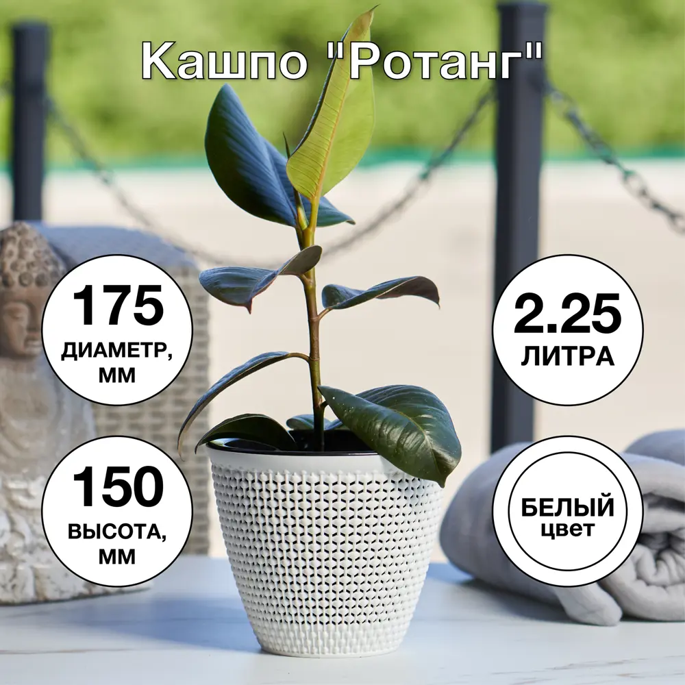 Фото 4 Кашпо Ротанг ø17.5 h15 см v2.25 л пластик белый Фото 4 Кашпо Ротанг ø17.5 h15 см v2.25 л пластик белый