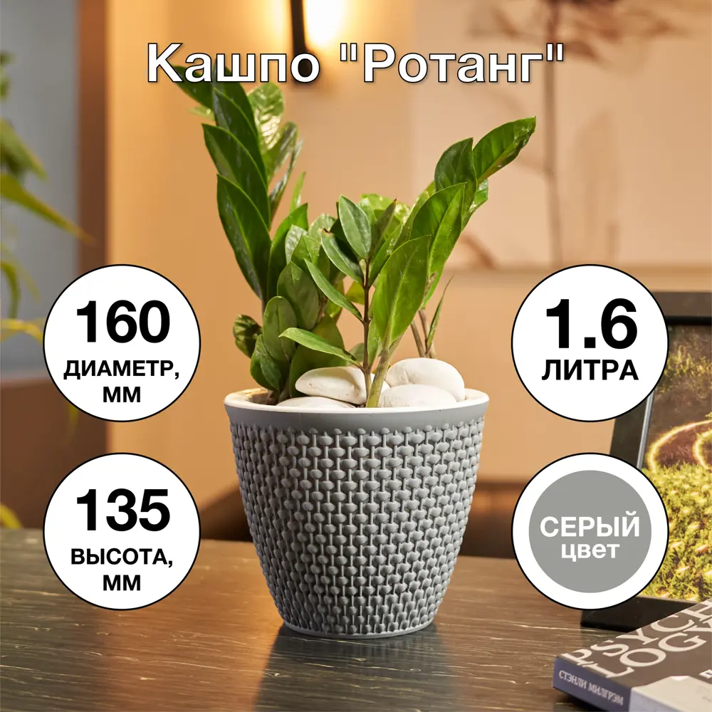 Фото 4 Кашпо Ротанг ø16 h13.5 см v1.6 л пластик серый Фото 4 Кашпо Ротанг ø16 h13.5 см v1.6 л пластик серый