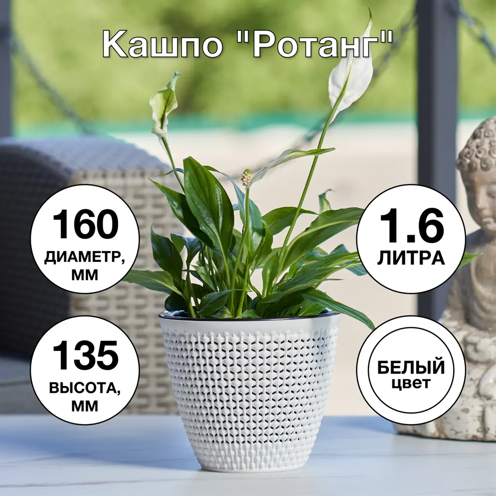 Фото 4 Кашпо Ротанг ø16 h13.5 см v1.6 л пластик белый Фото 4 Кашпо Ротанг ø16 h13.5 см v1.6 л пластик белый