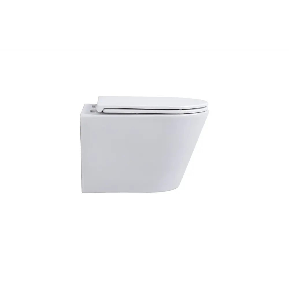 Фото 3 Унитаз подвесной Avimano Intuition 1001060 безободковый с сиденьем микролифт