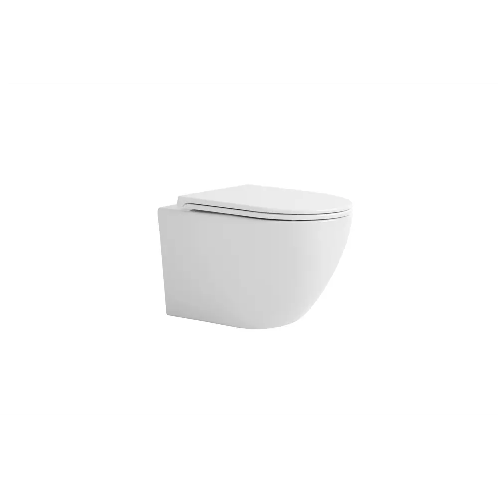 Фото 4 Унитаз подвесной Avimano Emotion 1000020 безободковый с сиденьем микролифт