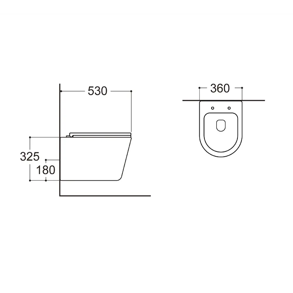 Фото 7 Унитаз подвесной Avimano Intuition 1001060 безободковый с сиденьем микролифт