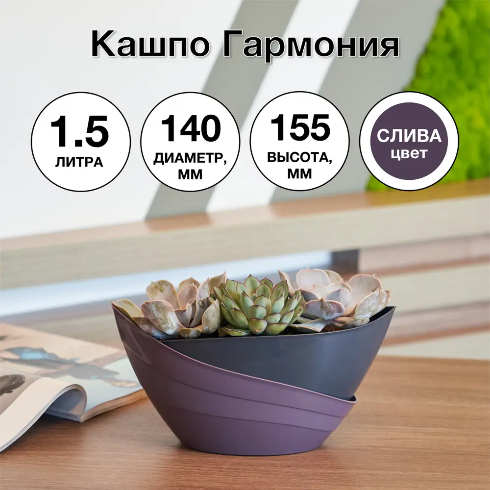 Фото 6 Кашпо Гармония ø14 h15.5 см v1.5 л пластик фиолетовый Фото 6 Кашпо Гармония ø14 h15.5 см v1.5 л пластик фиолетовый