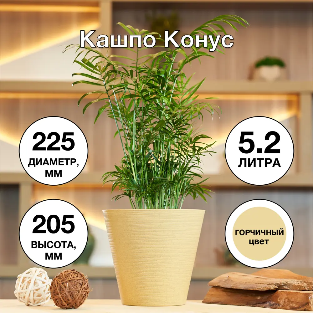 Фото 4 Кашпо Конус Эко ø22.5 h20.5 см v5.2 л пластик горчичный Фото 4 Кашпо Конус Эко ø22.5 h20.5 см v5.2 л пластик горчичный