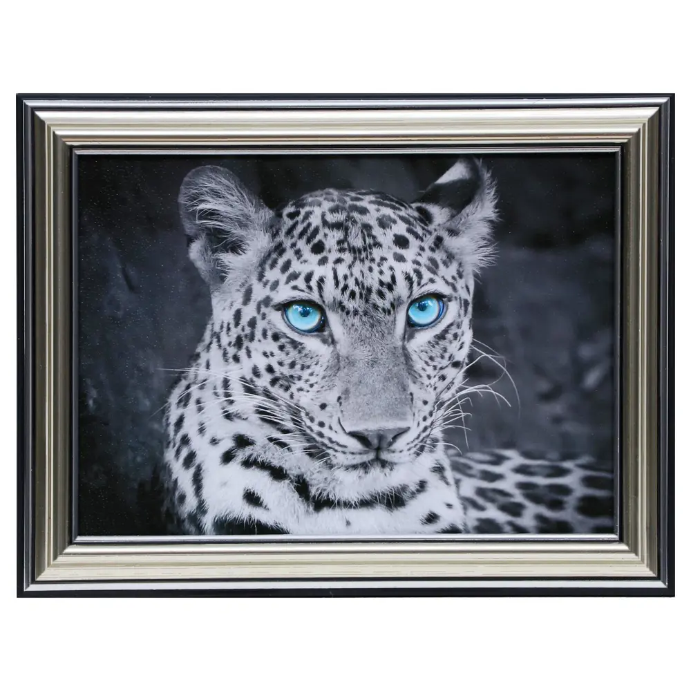 Фото Картина в раме Simaland "Голубоглазый хищник" 16x21 см Фото Картина в раме Simaland "Голубоглазый хищник" 16x21 см