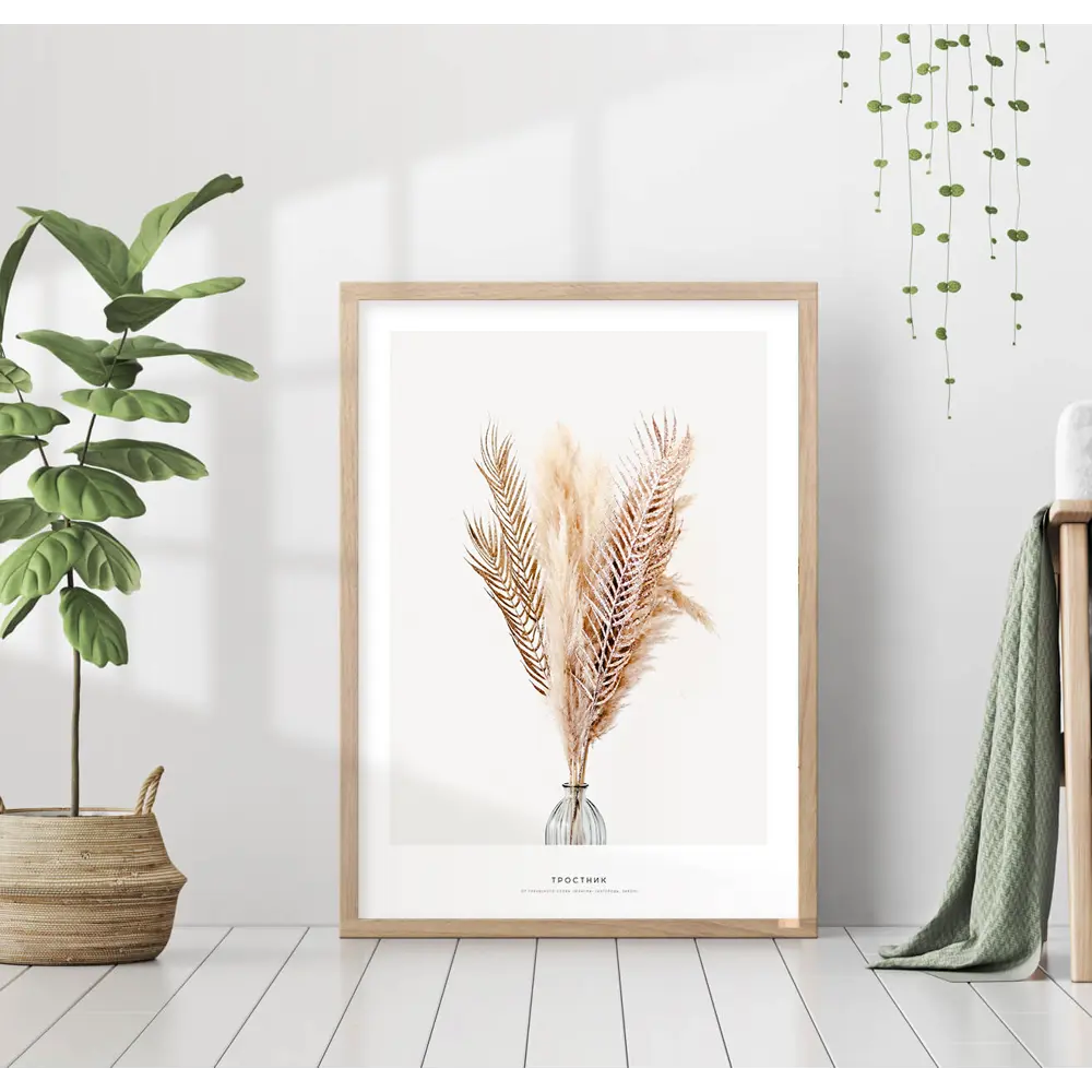 Фото Постер 28 картин "Сухой тростник. сухоцвет" 70x50 см, в подарочном тубусе без рамы Фото Постер 28 картин "Сухой тростник. сухоцвет" 70x50 см, в подарочном тубусе без рамы