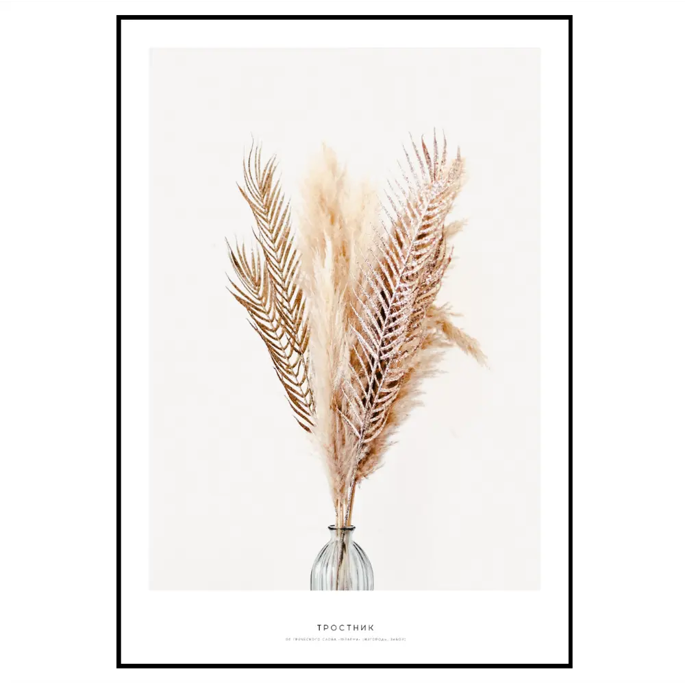 Фото 2 Постер 28 картин "Сухой тростник. сухоцвет" 70x50 см, в подарочном тубусе без рамы Фото 2 Постер 28 картин "Сухой тростник. сухоцвет" 70x50 см, в подарочном тубусе без рамы