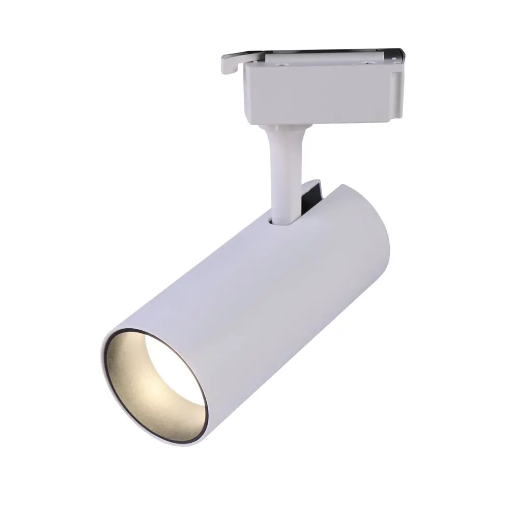 Фото Трековый светильник ЭРА TR5-10 COB WH Б0049050 светодиодный 10 Вт однофазный цвет белый Фото Трековый светильник ЭРА TR5-10 COB WH Б0049050 светодиодный 10 Вт однофазный цвет белый