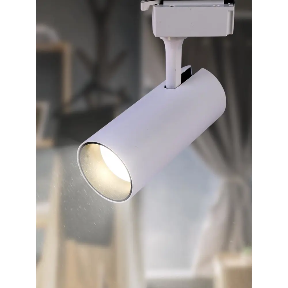 Фото 3 Трековый светильник ЭРА TR5-10 COB WH Б0049050 светодиодный 10 Вт однофазный цвет белый Фото 3 Трековый светильник ЭРА TR5-10 COB WH Б0049050 светодиодный 10 Вт однофазный цвет белый