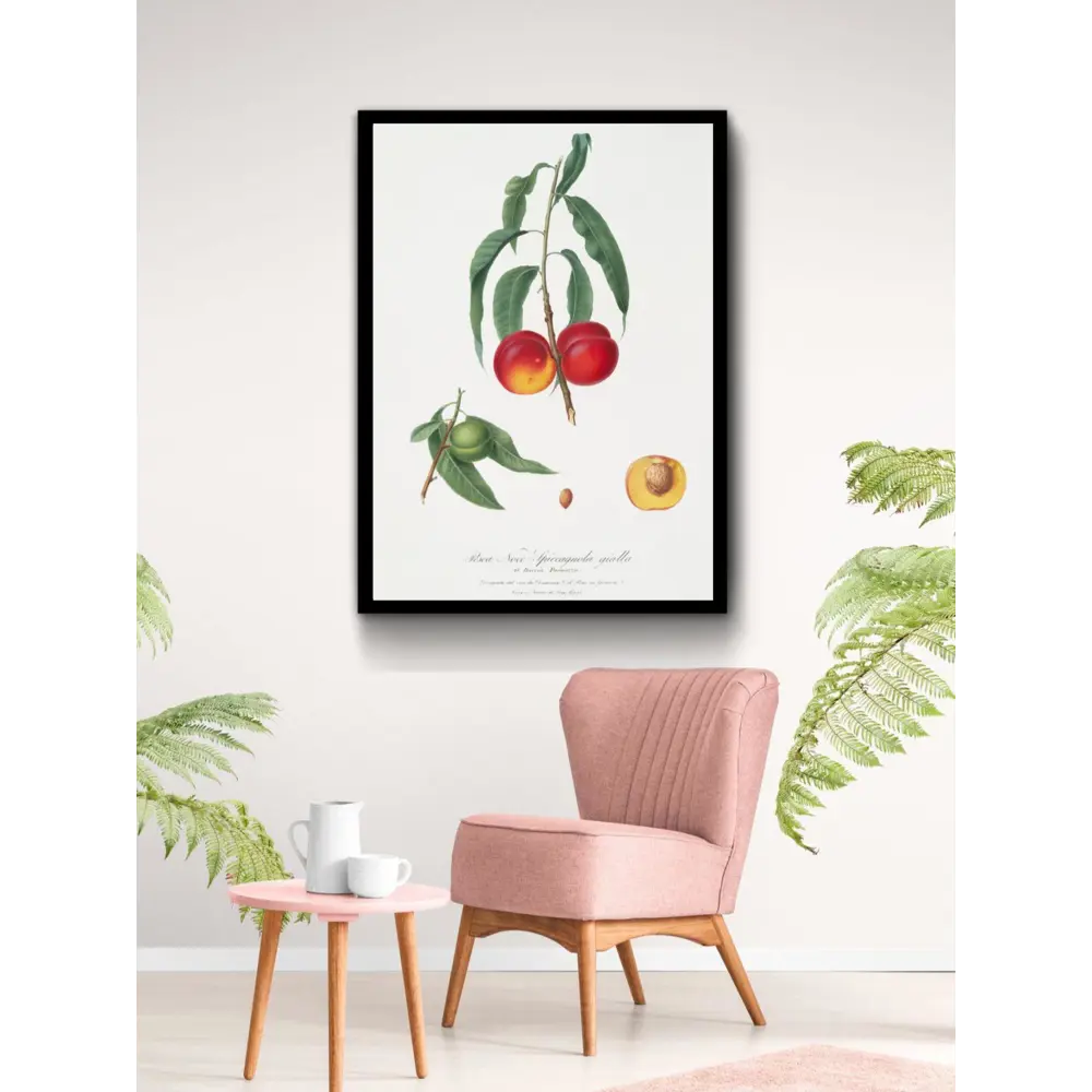 Фото 3 Постер Просто Постер "Фрукты - веточка с плодами нектарина" 90x60 см в подарочном тубусе Фото 3 Постер Просто Постер "Фрукты - веточка с плодами нектарина" 90x60 см в подарочном тубусе