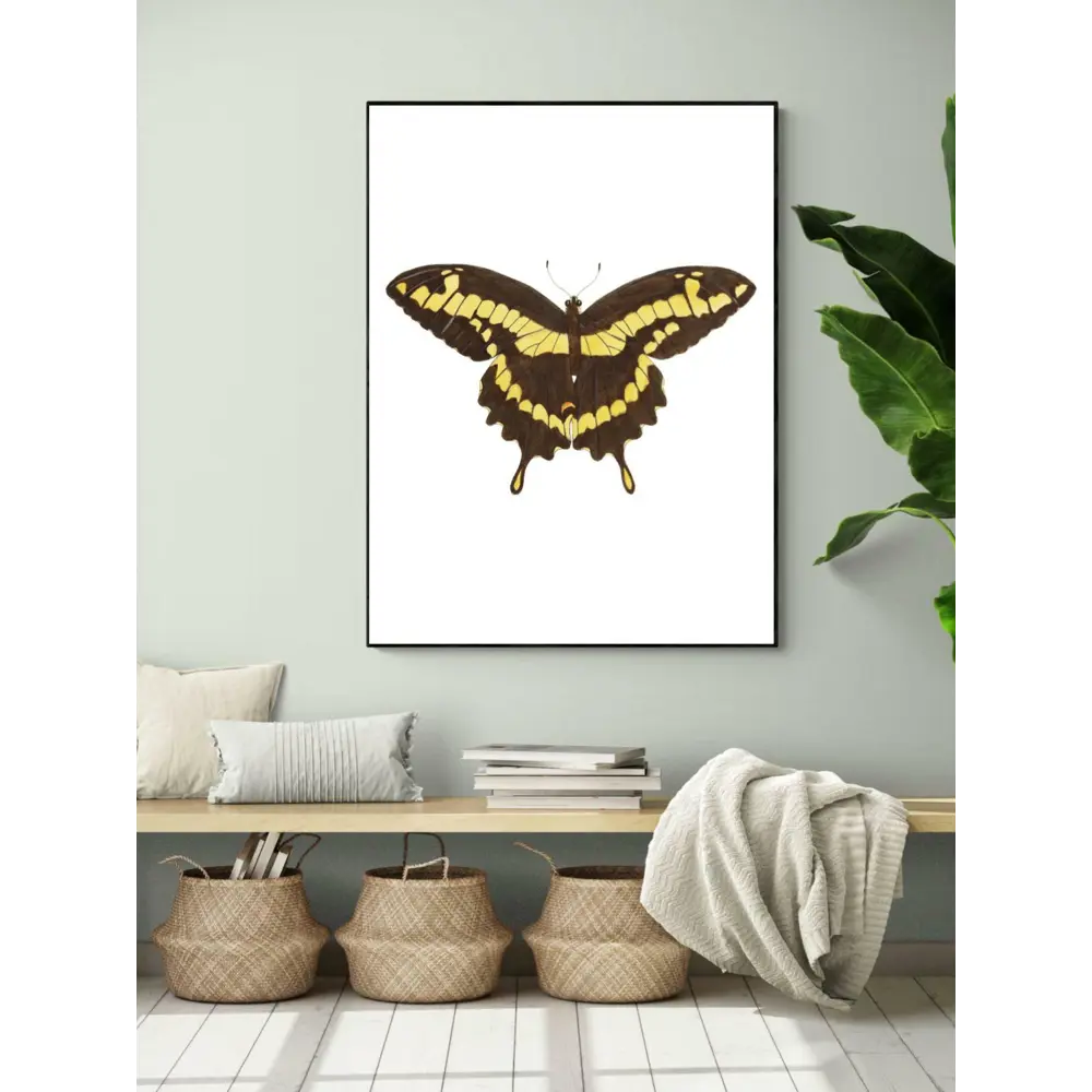 Фото Плакат "Просто Постер" Бабочка Папилио 90x120 в подарочном тубусе без рамы Фото Плакат "Просто Постер" Бабочка Папилио 90x120 в подарочном тубусе без рамы