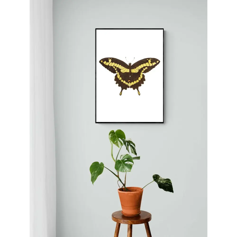 Фото 3 Плакат "Просто Постер" Бабочка Папилио 90x120 в подарочном тубусе без рамы Фото 3 Плакат "Просто Постер" Бабочка Папилио 90x120 в подарочном тубусе без рамы