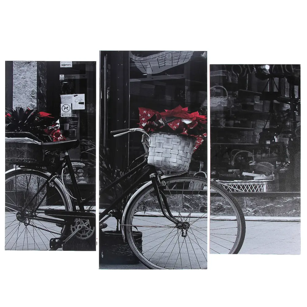 Фото Модульная картина "Чёрно-белый велосипед" (2-25x52; 1-30x60) 60x80 см
