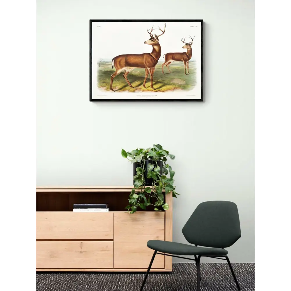 Фото 3 Плакат "Просто Постер" Колумбийский чернохвостый олень 50x70 в подарочном тубусе без рамы Фото 3 Плакат "Просто Постер" Колумбийский чернохвостый олень 50x70 в подарочном тубусе без рамы