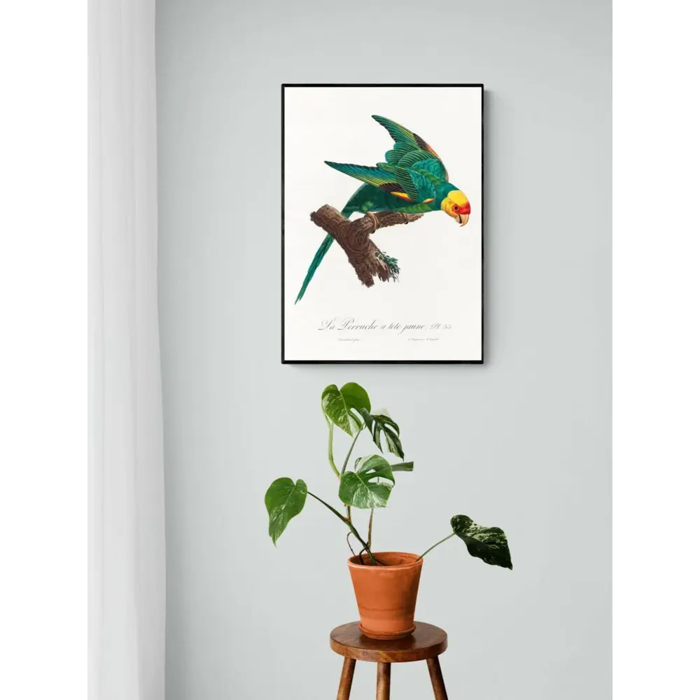 Фото Плакат "Просто Постер" Попугай в желтой короне 60x90 в раме Фото Плакат "Просто Постер" Попугай в желтой короне 60x90 в раме