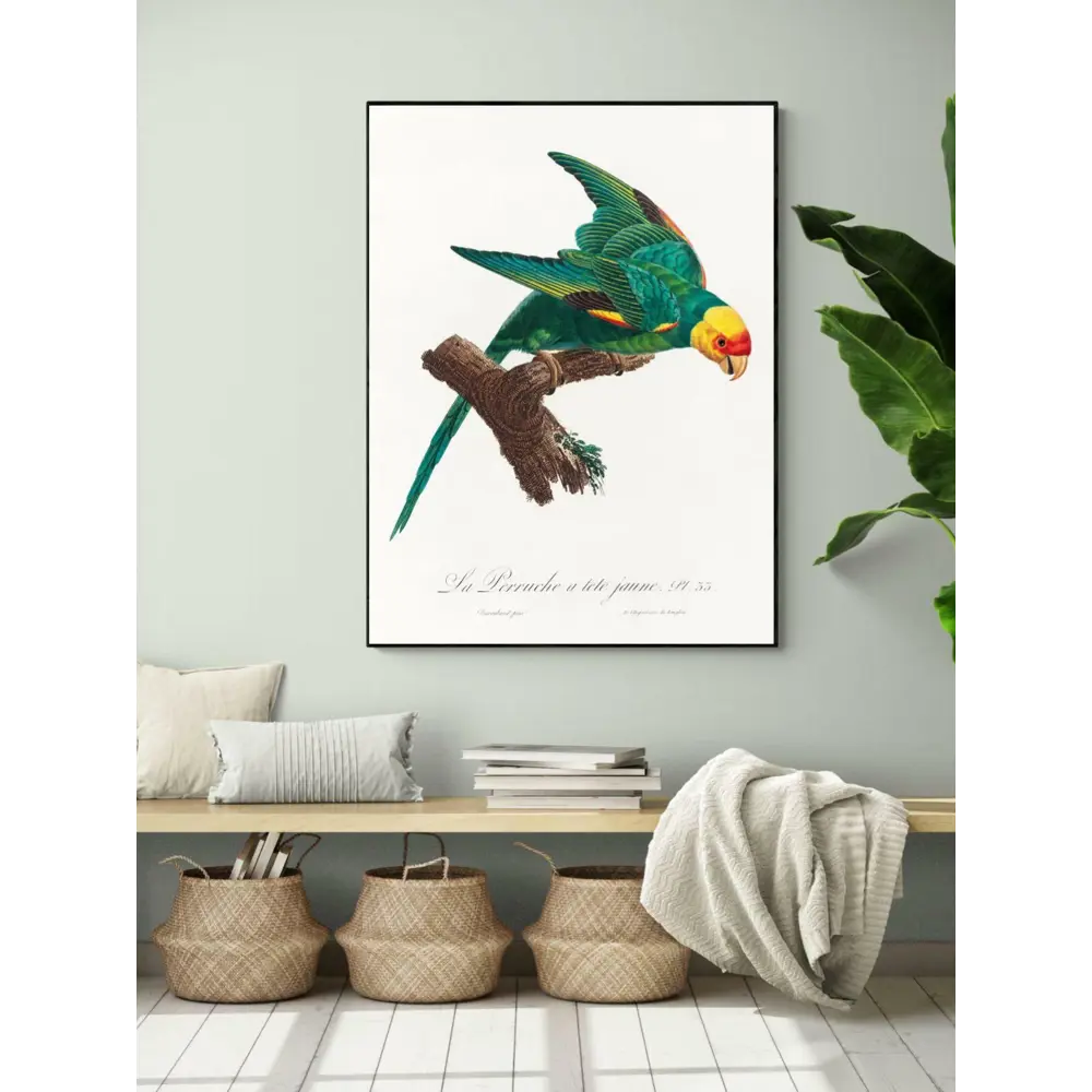 Фото 3 Плакат "Просто Постер" Попугай в желтой короне 60x90 в раме Фото 3 Плакат "Просто Постер" Попугай в желтой короне 60x90 в раме