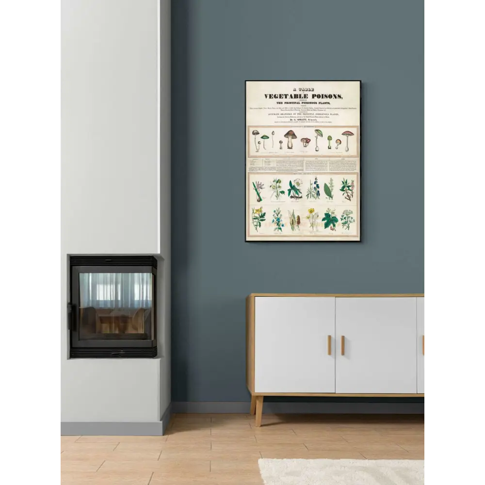 Фото Плакат "Просто Постер" Ядовитые грибы 90x120 в подарочном тубусе без рамы Фото Плакат "Просто Постер" Ядовитые грибы 90x120 в подарочном тубусе без рамы