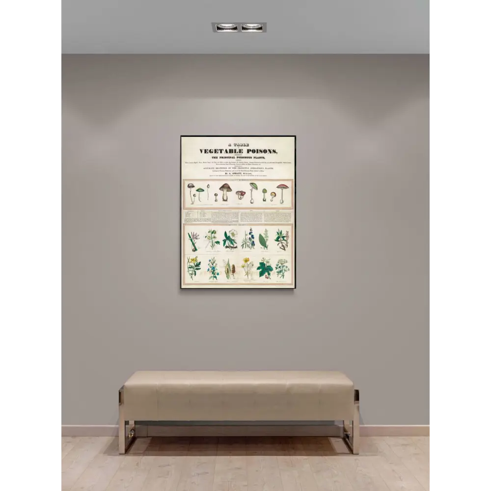 Фото 3 Плакат "Просто Постер" Ядовитые грибы 90x120 в подарочном тубусе без рамы Фото 3 Плакат "Просто Постер" Ядовитые грибы 90x120 в подарочном тубусе без рамы