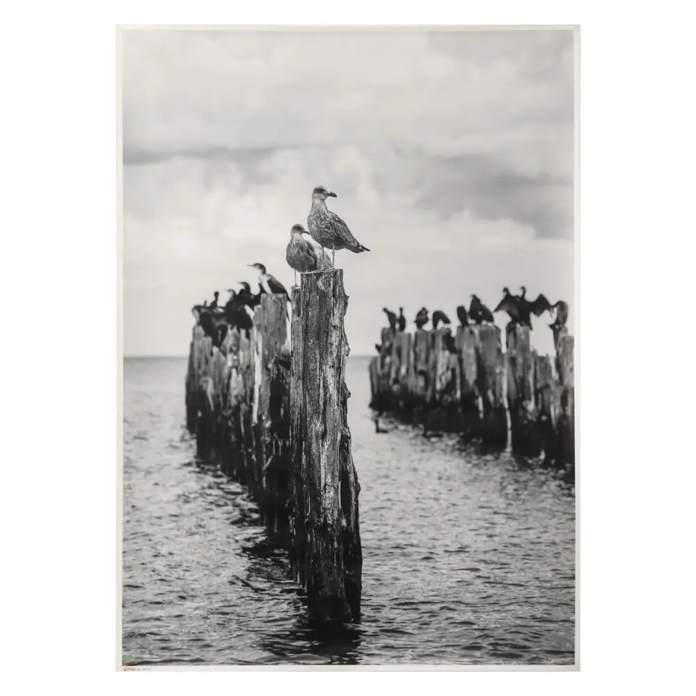 Фото Холст без подрамника "Стая чаек" 70x100 см