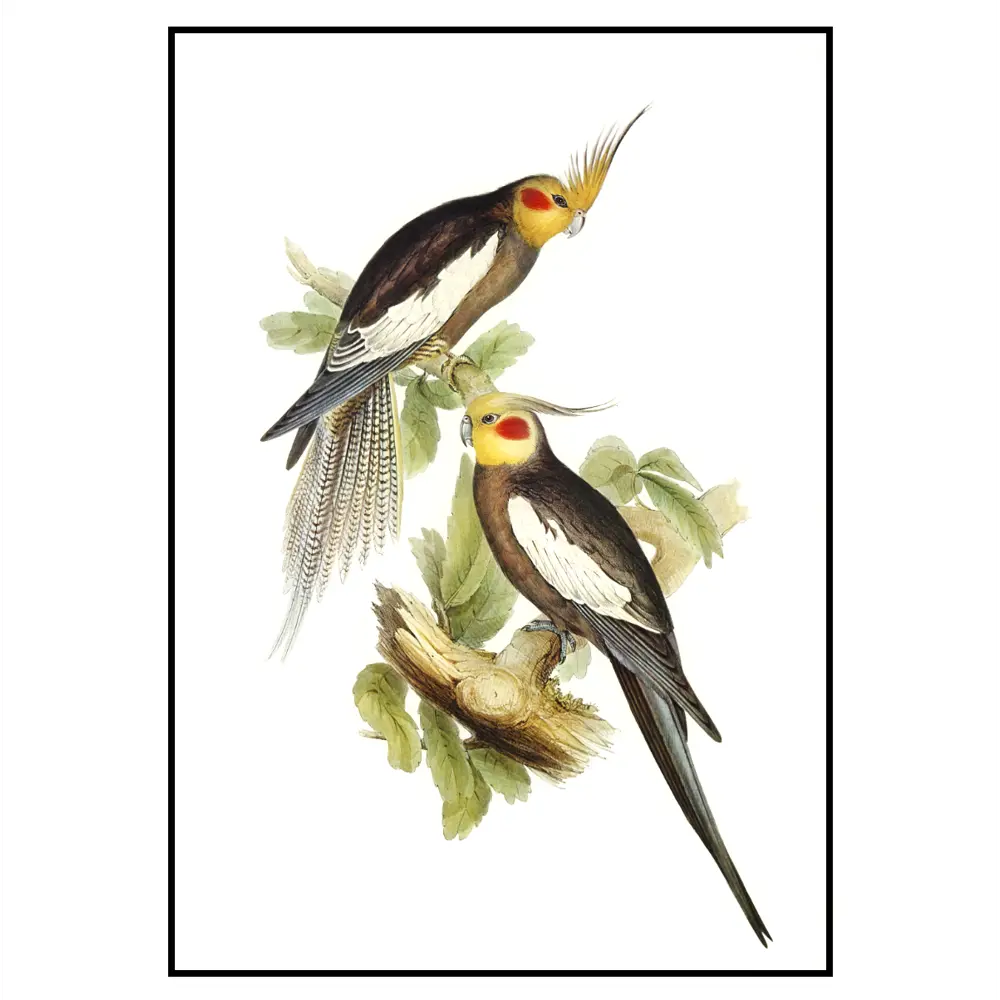 Фото 3 Постер 28 картин "Попугаи Корелла и золотые листья пальмы" 70x50 см