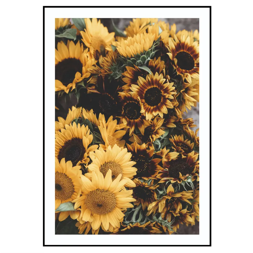 Фото 3 Постер 28 картин "Подсолнухи, белая шляпа" 50x40 см Фото 3 Постер 28 картин "Подсолнухи, белая шляпа" 50x40 см