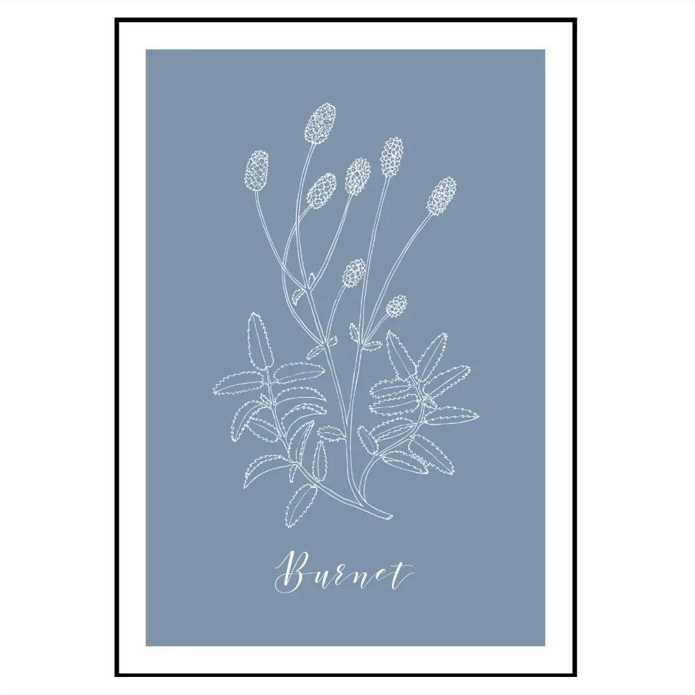 Фото 2 Набор постеров 28 картин "Растения, трава гербарий" 70x50 см 3 шт в подарочном тубусе Фото 2 Набор постеров 28 картин "Растения, трава гербарий" 70x50 см 3 шт в подарочном тубусе