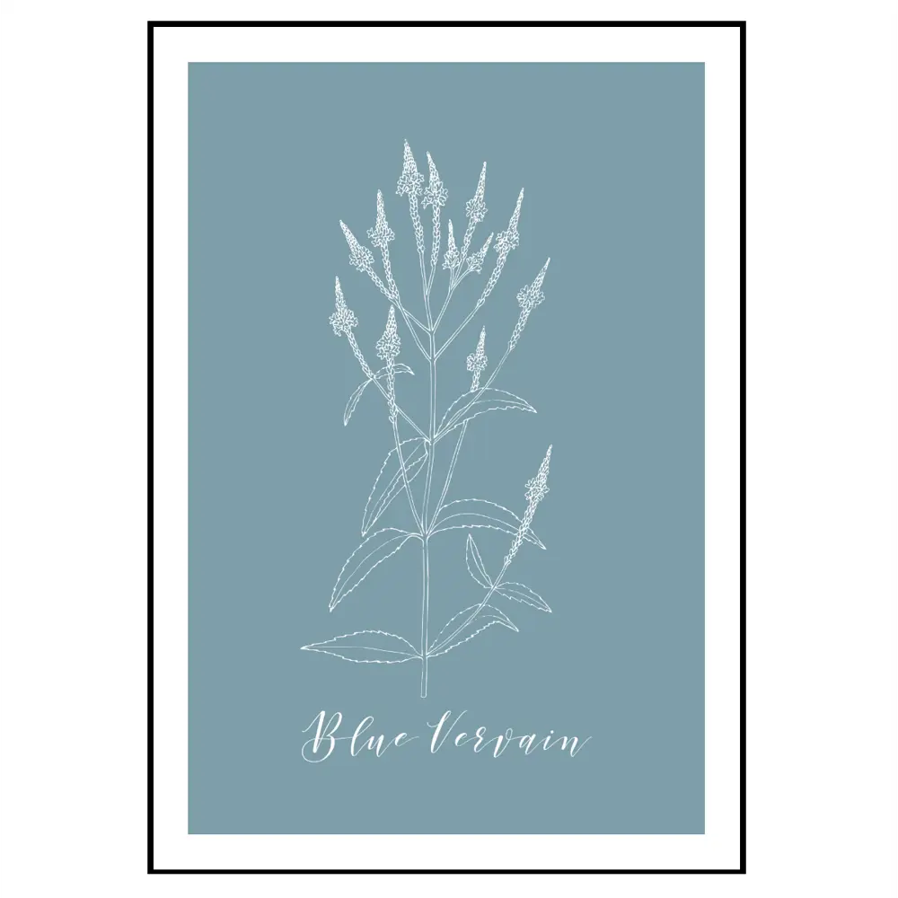 Фото 3 Набор постеров 28 картин "Растения, трава гербарий" 70x50 см 3 шт в подарочном тубусе Фото 3 Набор постеров 28 картин "Растения, трава гербарий" 70x50 см 3 шт в подарочном тубусе