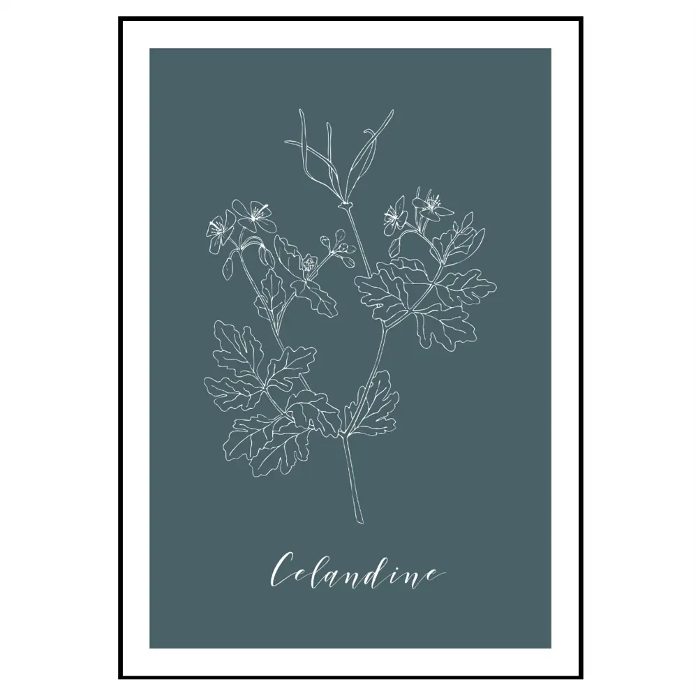 Фото 4 Набор постеров 28 картин "Растения, трава гербарий" 70x50 см 3 шт в подарочном тубусе Фото 4 Набор постеров 28 картин "Растения, трава гербарий" 70x50 см 3 шт в подарочном тубусе