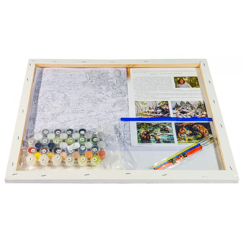 Фото 3 Картина по номерам Белоснежка холст 40x50 см Пара Фото 3 Картина по номерам Белоснежка холст 40x50 см Пара