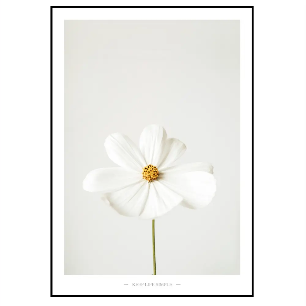 Фото 3 Набор постеров 3 шт 28 картин "Белые цветы" 95x95 см в тубусе без рамы для интерьера Фото 3 Набор постеров 3 шт 28 картин "Белые цветы" 95x95 см в тубусе без рамы для интерьера