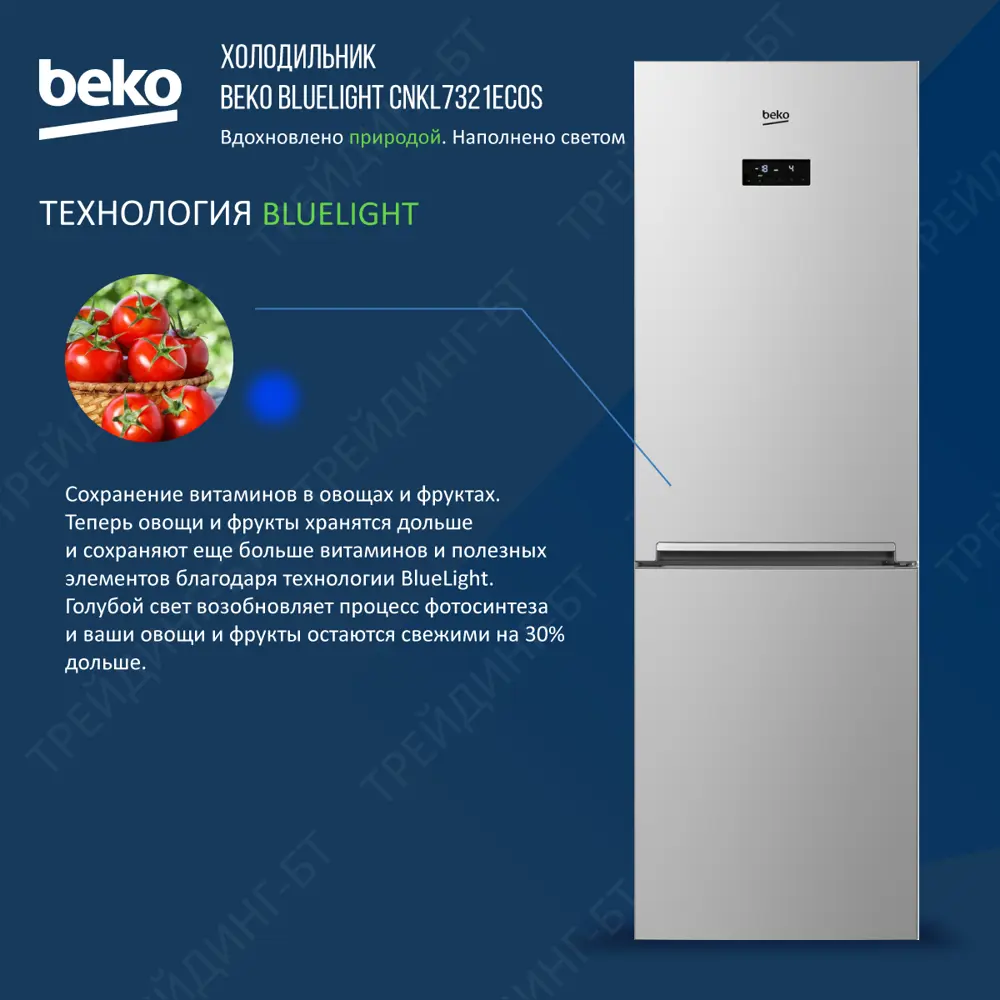 Фото 3 Холодильник двухкамерный Beko BlueLight CNKL7321EC0S186.5x59.5 см 1 компрессор цвет серебристый, 7389410007 Фото 3 Холодильник двухкамерный Beko BlueLight CNKL7321EC0S186.5x59.5 см 1 компрессор цвет серебристый, 7389410007