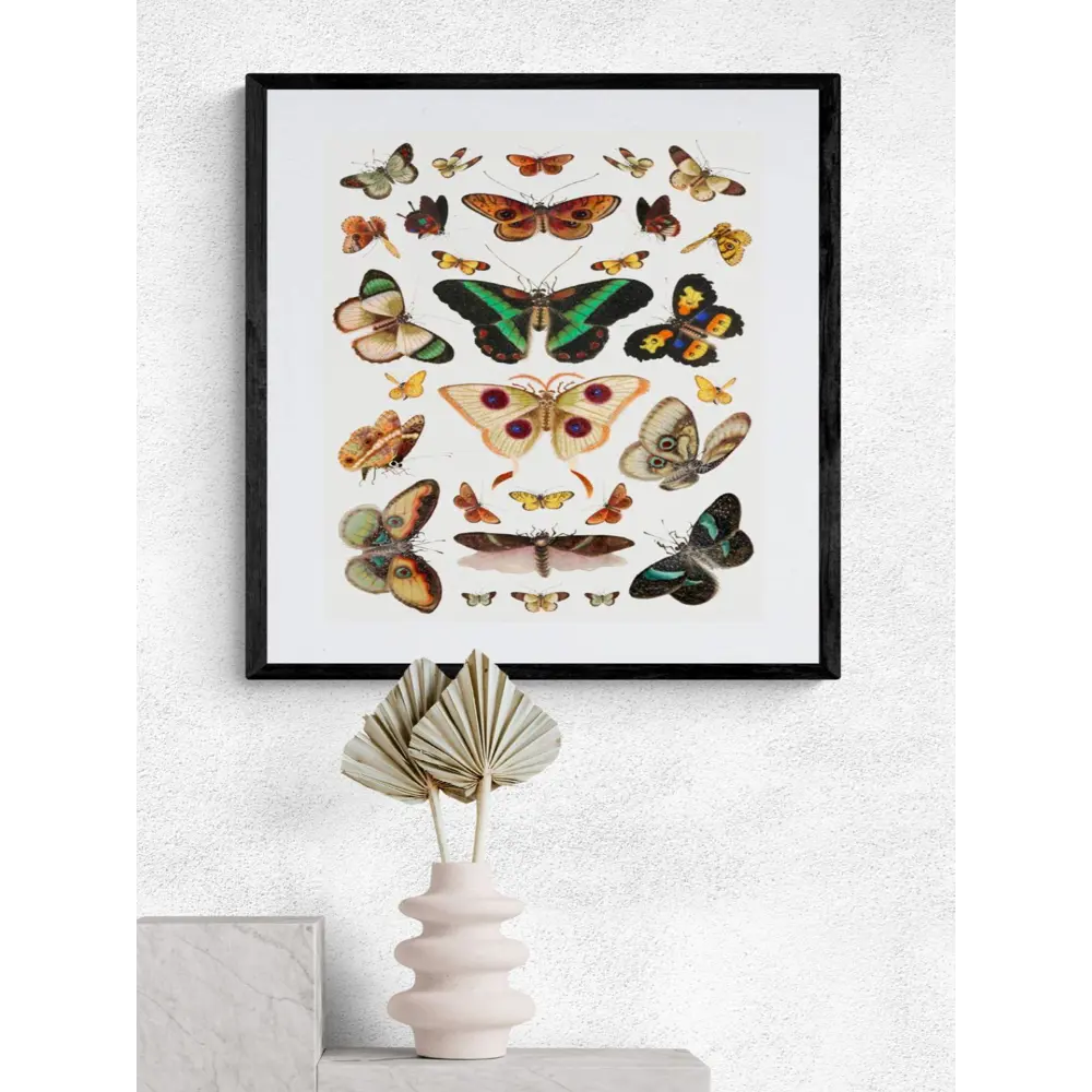 Фото 3 Рекламный плакат Просто Постер Разноцветные бабочки 40x50см в раме маленький Фото 3 Рекламный плакат Просто Постер Разноцветные бабочки 40x50см в раме маленький