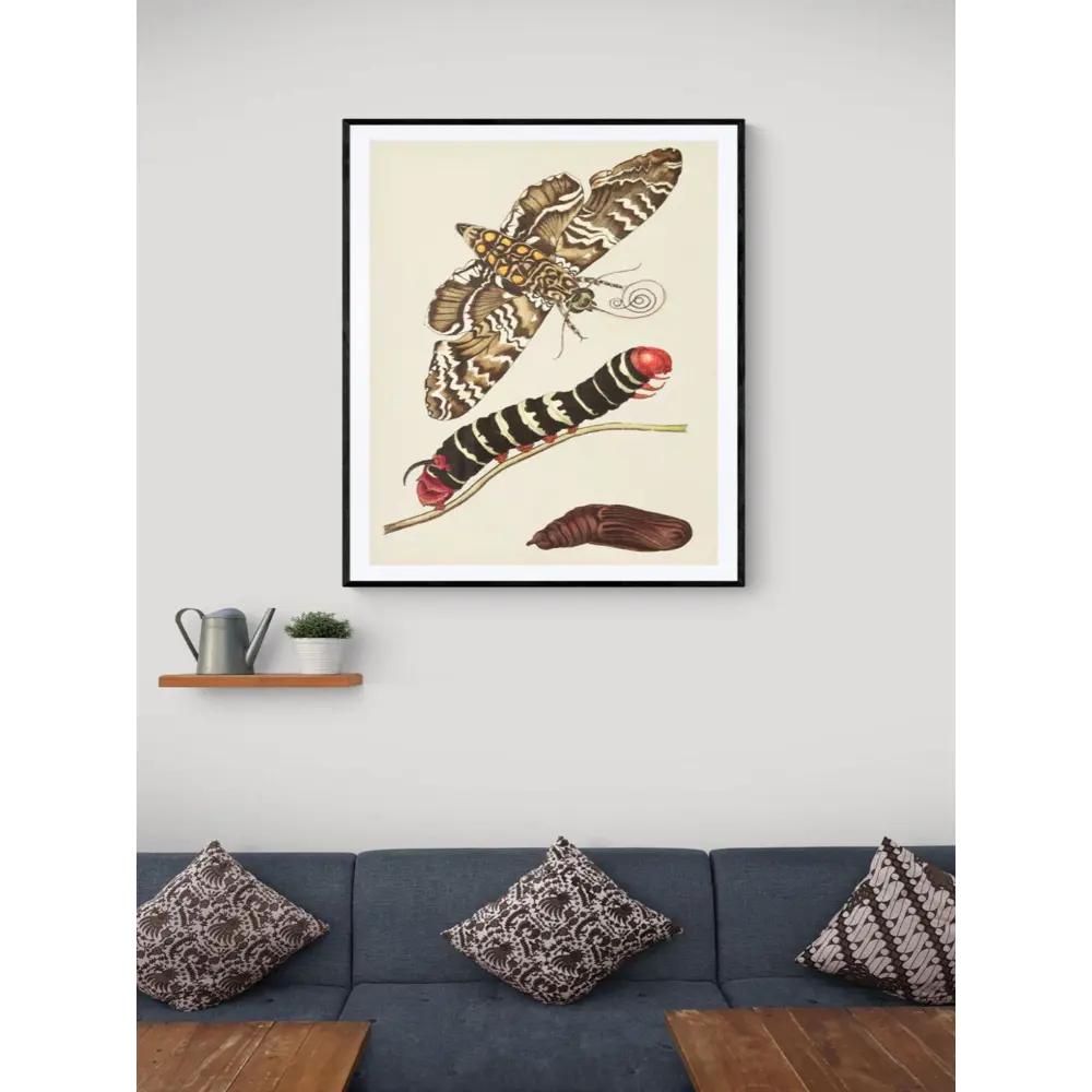 Фото 2 Постер Просто Постер "Анатомия - Строение корпуса и мышц человека" 50x40 см в подарочном тубусе Фото 2 Постер Просто Постер "Анатомия - Строение корпуса и мышц человека" 50x40 см в подарочном тубусе