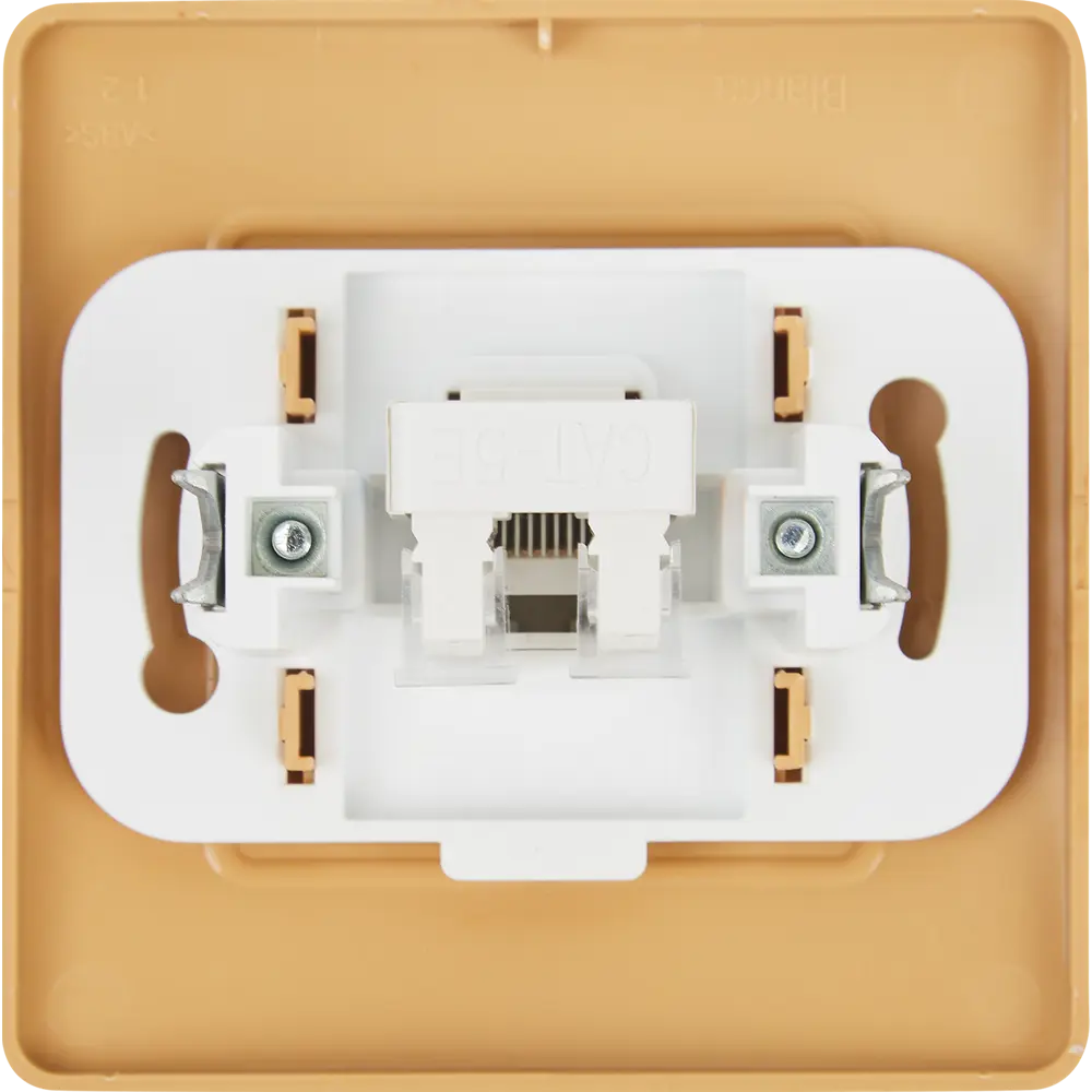 Фото 4 Розетка компьютерная встраиваемая Systeme Electric Blanca RJ45 cat 5 цвет ясень Фото 4 Розетка компьютерная встраиваемая Systeme Electric Blanca RJ45 cat 5 цвет ясень