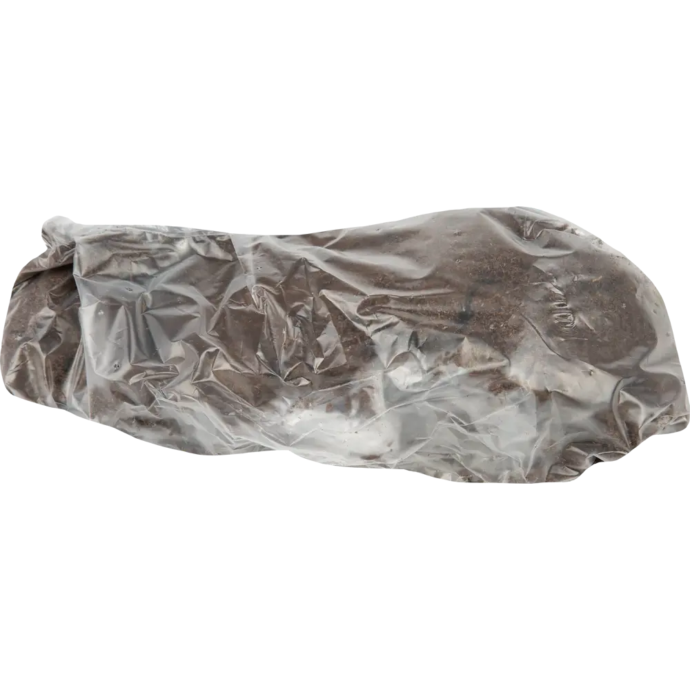 Фото 2 Пион молочноцветковый Барбара разбор 2-3 Фото 2 Пион молочноцветковый Барбара разбор 2-3