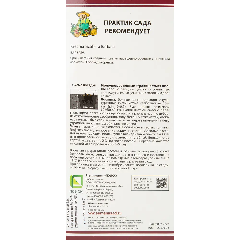 Фото 3 Пион молочноцветковый Барбара разбор 2-3 Фото 3 Пион молочноцветковый Барбара разбор 2-3