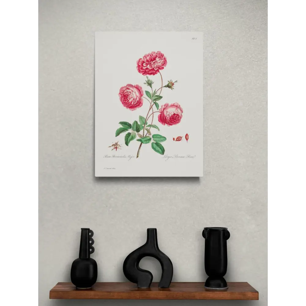 Фото 3 Постер Простопостер "Пионы - розовый пион" 120x90 см в подарочном тубусе без рамы Фото 3 Постер Простопостер "Пионы - розовый пион" 120x90 см в подарочном тубусе без рамы