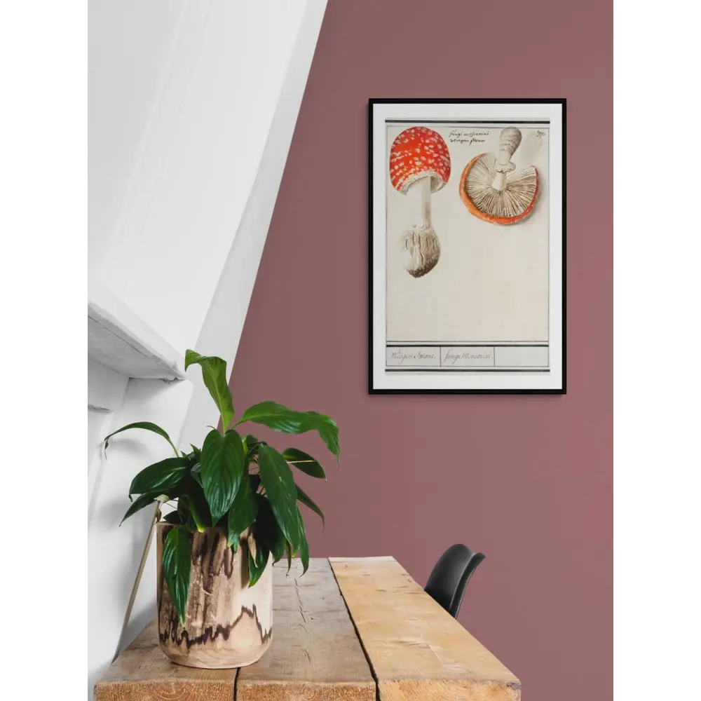 Фото 2 Постер Простопостер "Грибы - мухомор amanita muscaria" 120x90 см в подарочном тубусе без рамы Фото 2 Постер Простопостер "Грибы - мухомор amanita muscaria" 120x90 см в подарочном тубусе без рамы