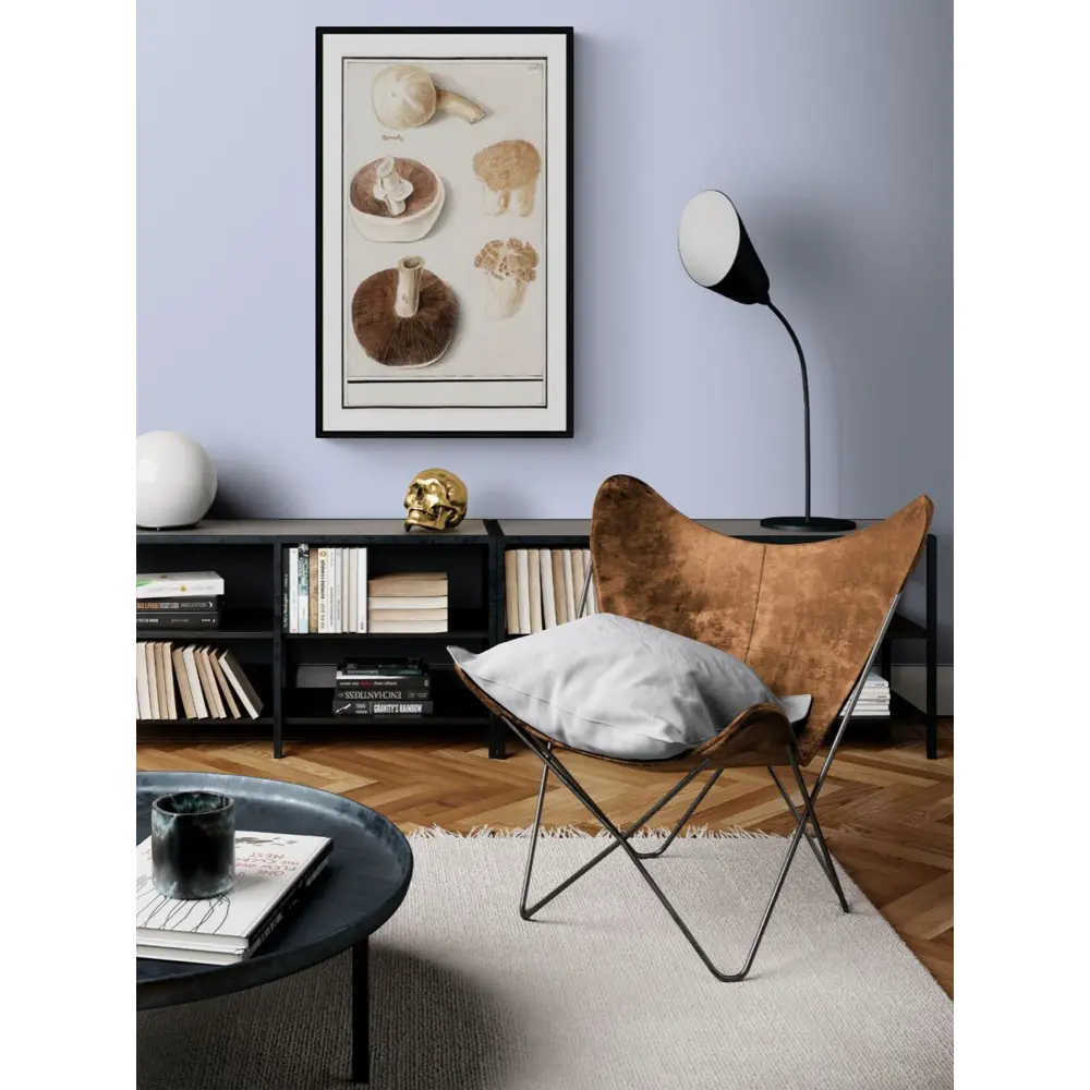 Фото 2 Постер Простопостер "Грибы - обыкновенный луговой гриб" 120x90 см в подарочном тубусе без рамы Фото 2 Постер Простопостер "Грибы - обыкновенный луговой гриб" 120x90 см в подарочном тубусе без рамы