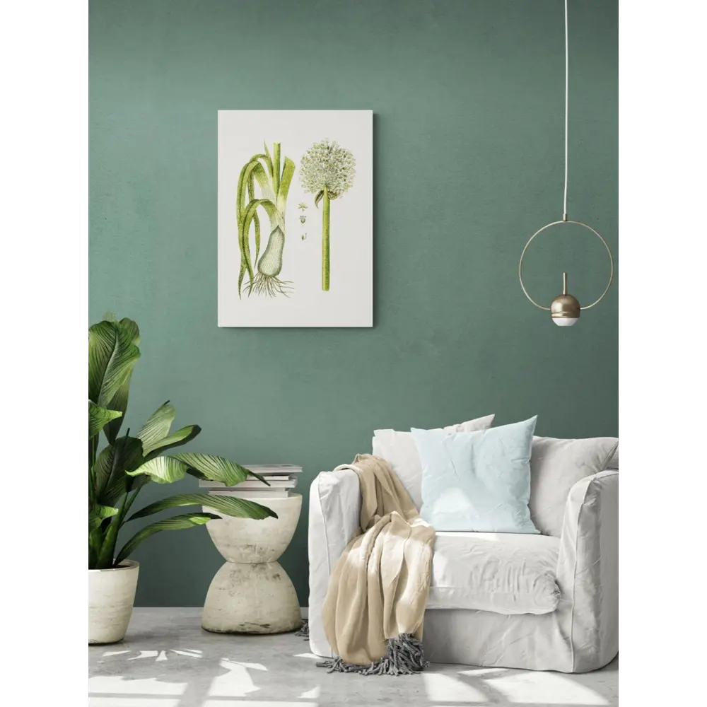 Фото 3 Постер Простопостер "Овощи - цветущий лук порей" 50x40 см в раме Фото 3 Постер Простопостер "Овощи - цветущий лук порей" 50x40 см в раме
