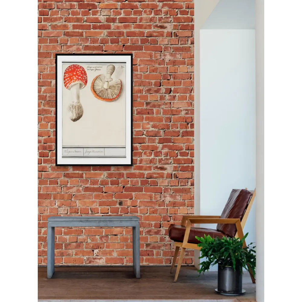 Фото 3 Постер Простопостер "Грибы - мухомор amanita muscaria" 90x60 см в раме Фото 3 Постер Простопостер "Грибы - мухомор amanita muscaria" 90x60 см в раме