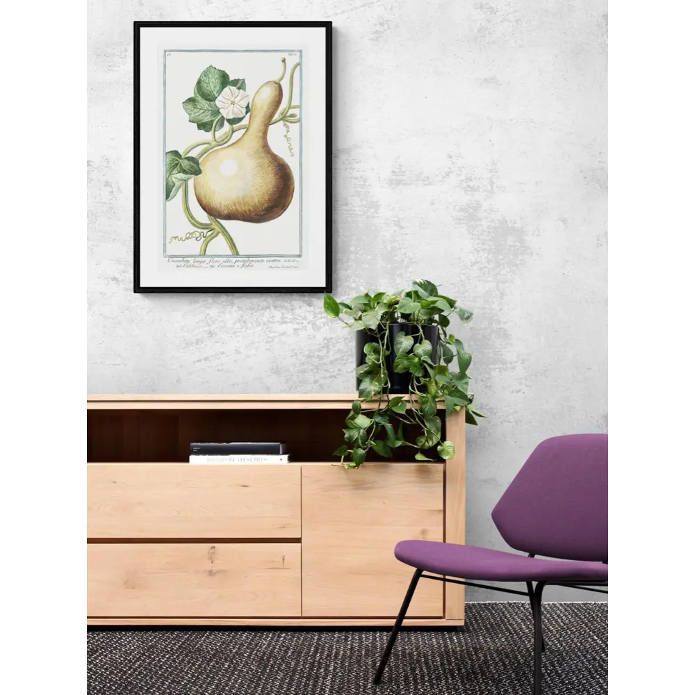 Фото 3 Постер Простопостер "Овощи - тыква длинная cucurbita longa" 90x60 см в подарочном тубусе без рамы Фото 3 Постер Простопостер "Овощи - тыква длинная cucurbita longa" 90x60 см в подарочном тубусе без рамы