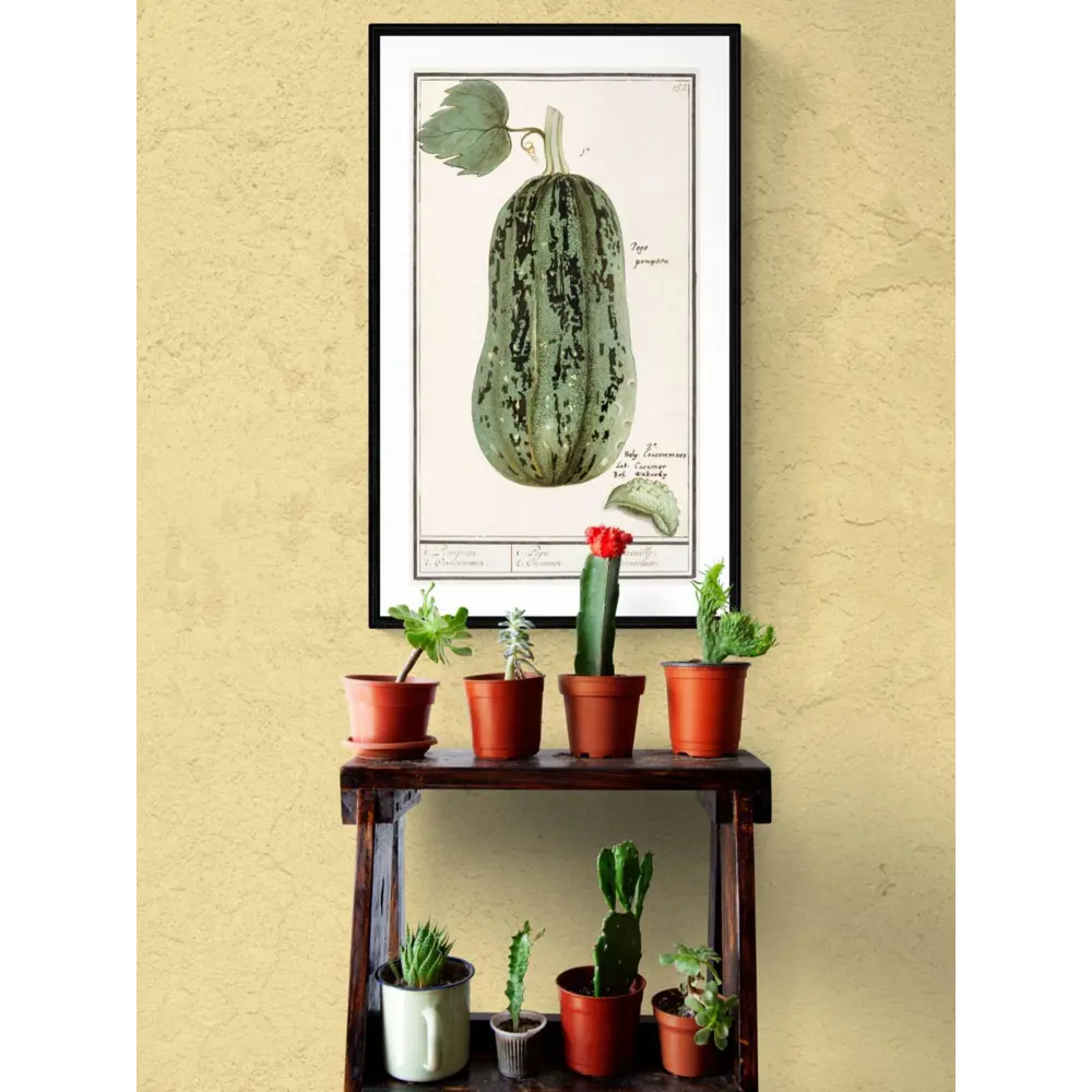 Фото 3 Постер Простопостер "Овощи - тыква обыкновенная pompoen" 50x40 см в раме Фото 3 Постер Простопостер "Овощи - тыква обыкновенная pompoen" 50x40 см в раме