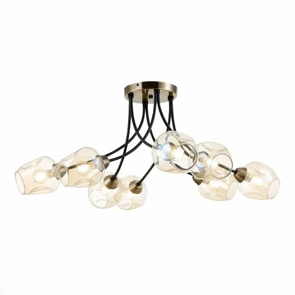 Фото 4 Люстра потолочная EVOLUCE SLE205302-08 Besano 8 ламп 16 м² цвет черный Фото 4 Люстра потолочная EVOLUCE SLE205302-08 Besano 8 ламп 16 м² цвет черный