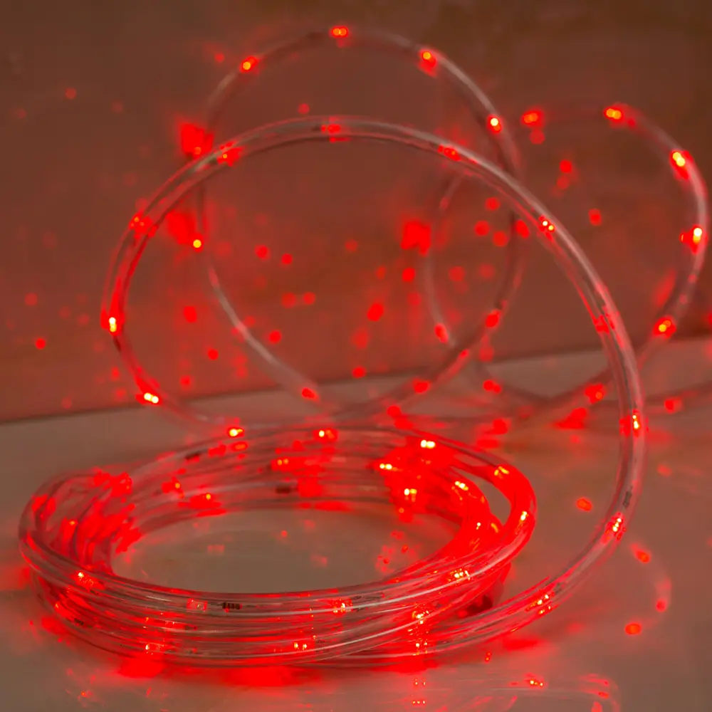 Фото Электрогирлянда универсальная Luazon lighting 1589822 дюралайт 5 м 120 ламп бесцветный 8 режимов работы Фото Электрогирлянда универсальная Luazon lighting 1589822 дюралайт 5 м 120 ламп бесцветный 8 режимов работы