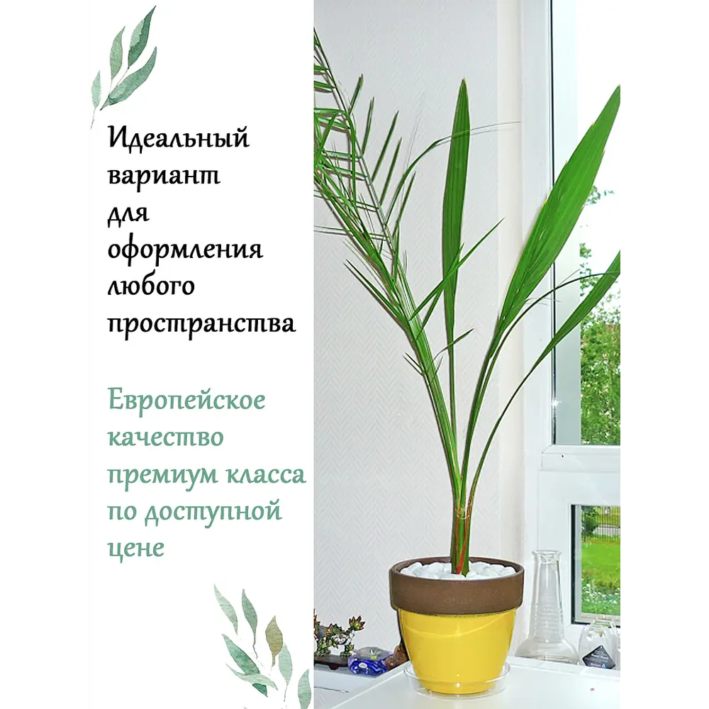 Фото 4 Горшок цветочный D1716G Deroma 16 см 2.4 л керамика желтый Фото 4 Горшок цветочный D1716G Deroma 16 см 2.4 л керамика желтый